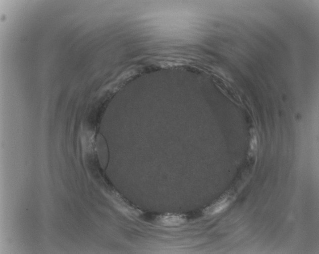 X0000063500327200601231443