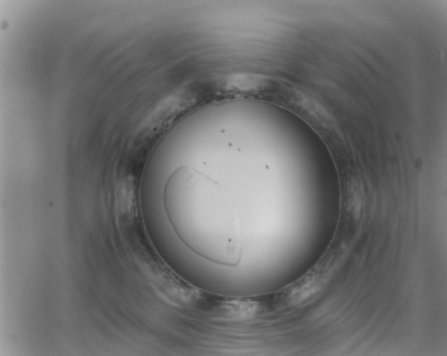 X0000063500328200601231443