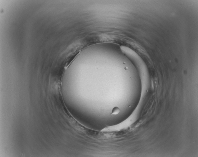 X0000063500329200601231443