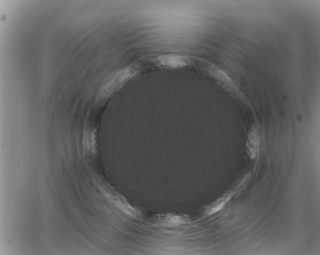 X0000063500330200601231443