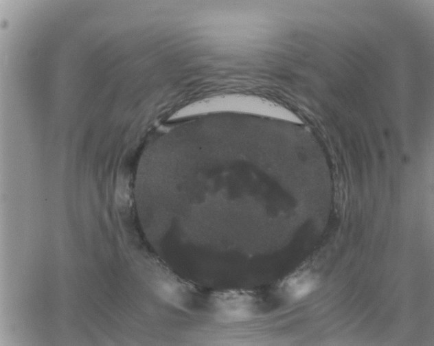 X0000063500331200601231443