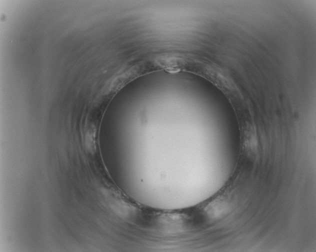 X0000063500332200601231443