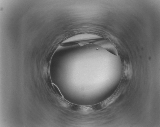 X0000063500333200601231443