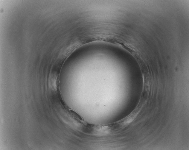 X0000063500334200601231443