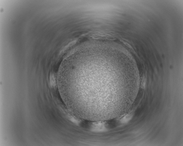 X0000063500335200601231443