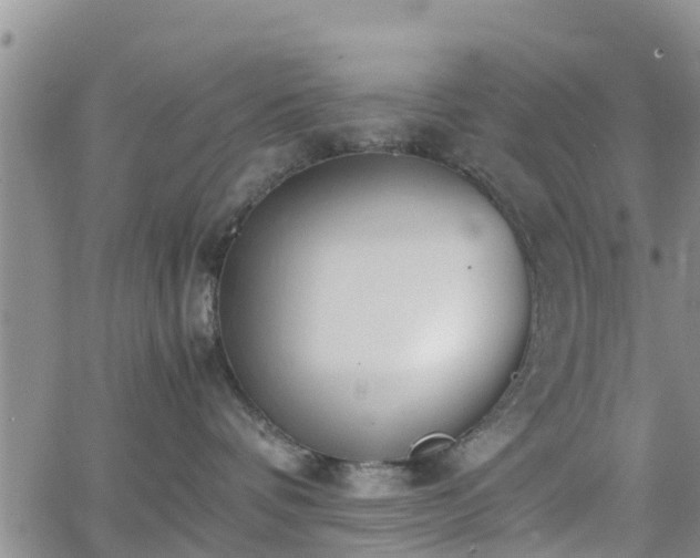 X0000063500336200601231443