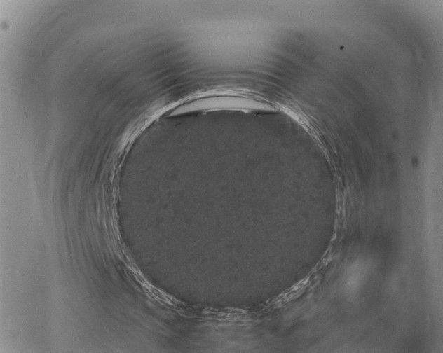 X0000063500337200601231442