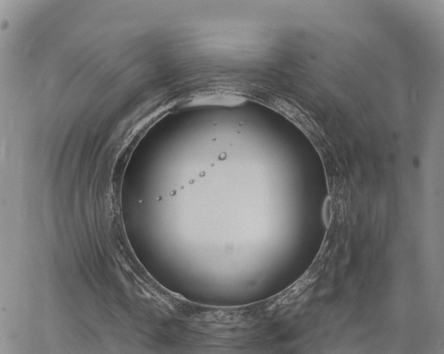 X0000063500338200601231442