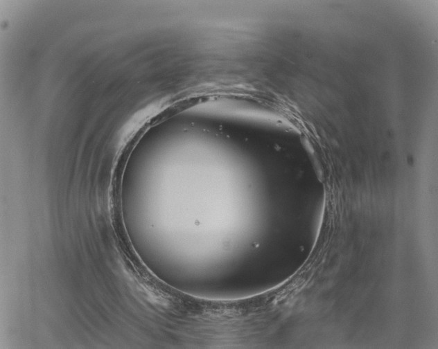 X0000063500340200601231442