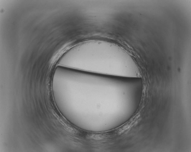 X0000063500341200601231442