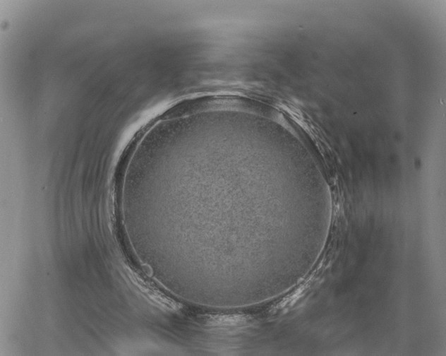 X0000063500342200601231443