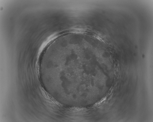 X0000063500343200601231443