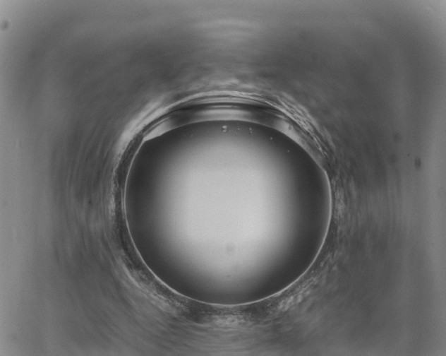 X0000063500344200601231443