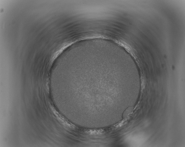 X0000063500345200601231443