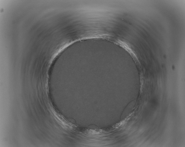 X0000063500346200601231443