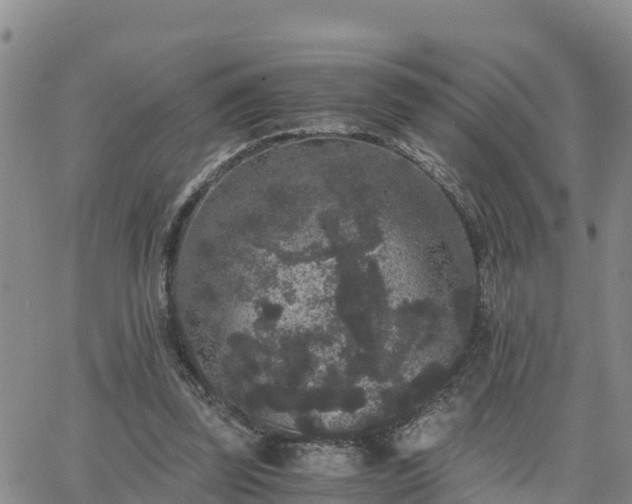 X0000063500347200601231443