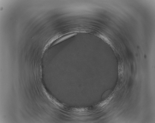 X0000063500349200601231443