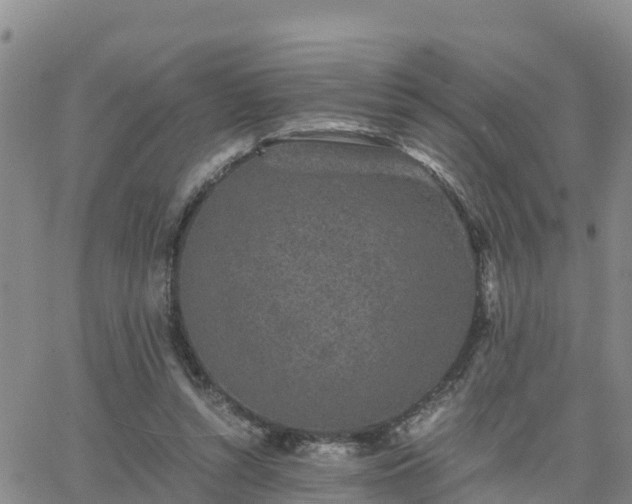 X0000063500352200601231443