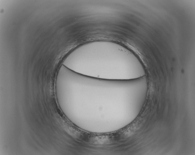 X0000063500353200601231443