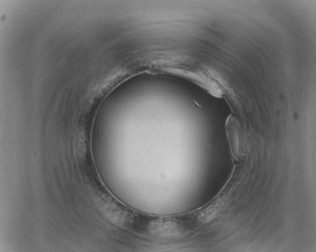 X0000063500354200601231443