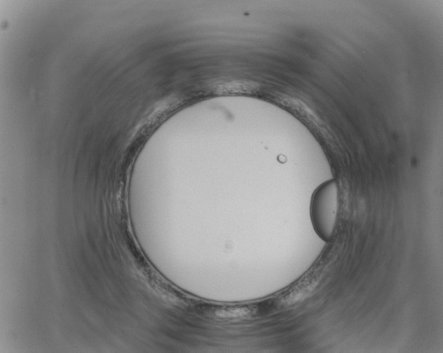 X0000063500357200601231443