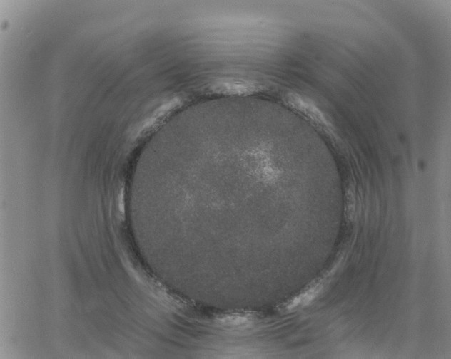 X0000063500358200601231443