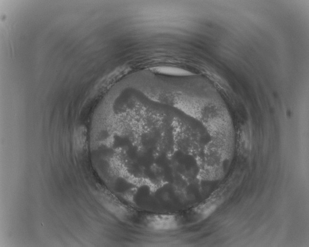 X0000063500361200601231443