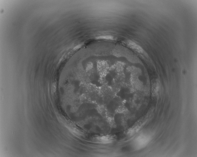 X0000063500365200601231443