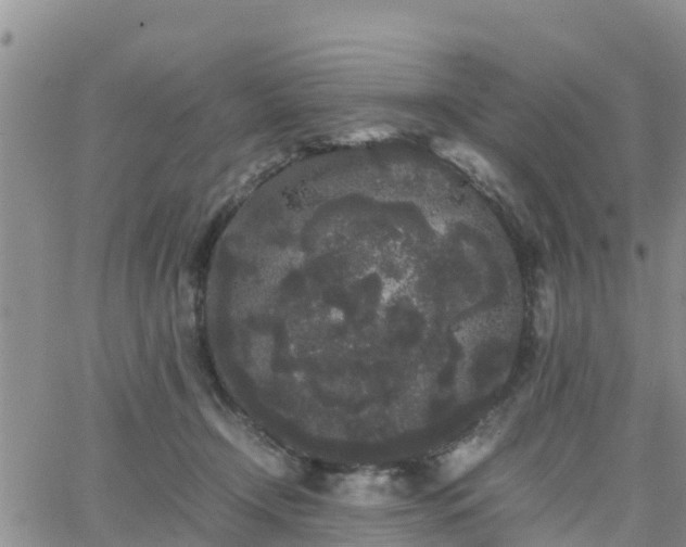 X0000063500366200601231443