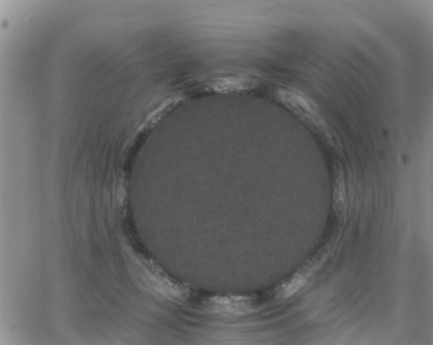 X0000063500367200601231443