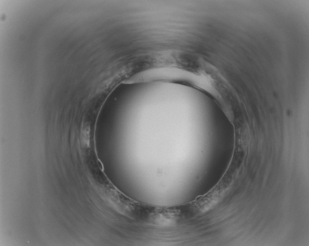 X0000063500368200601231443