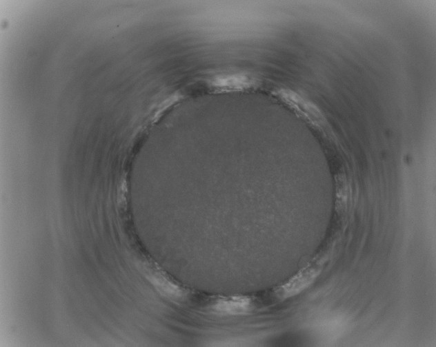 X0000063500369200601231443