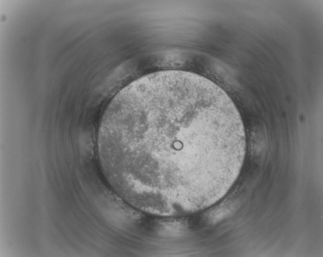 X0000063500370200601231443