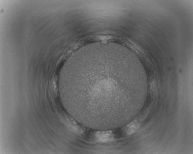 X0000063500373200601231443