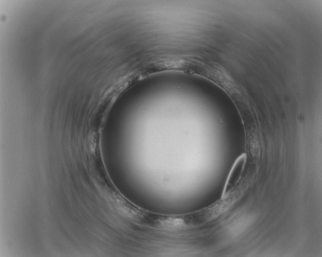 X0000063500374200601231443