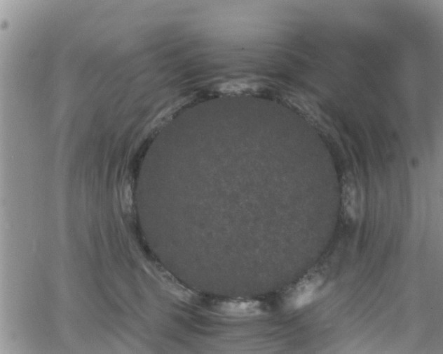 X0000063500375200601231443