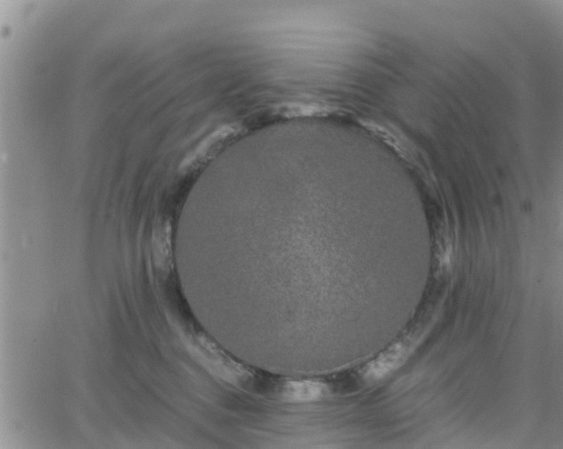 X0000063500376200601231443