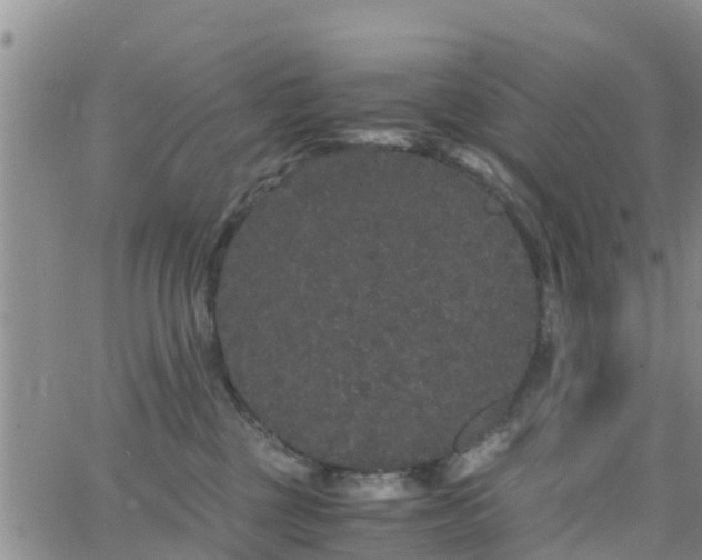 X0000063500377200601231443