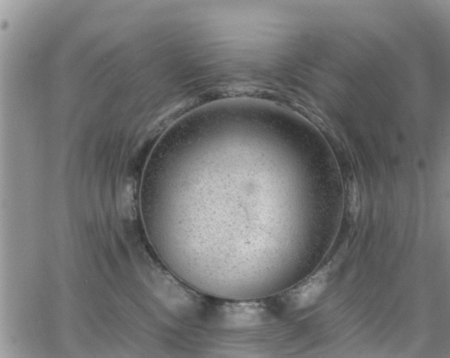 X0000063500378200601231443