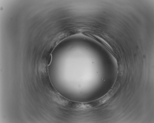 X0000063500379200601231443