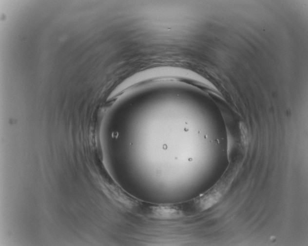 X0000063500380200601231443