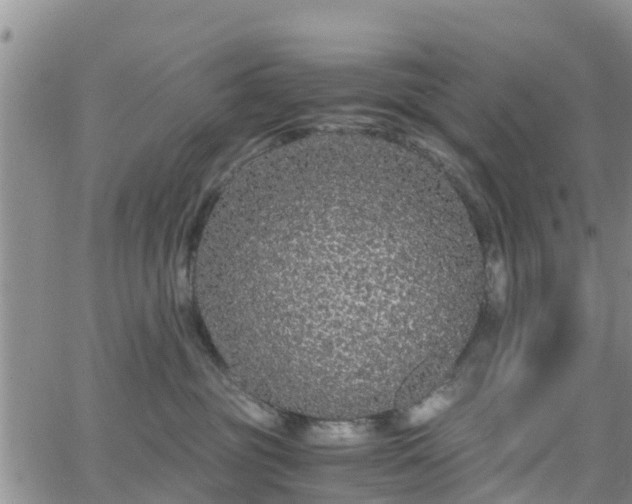 X0000063500381200601231443