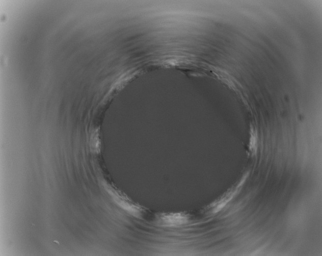 X0000063500383200601231443