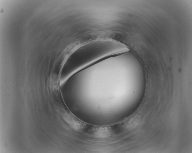 X0000063500384200601231443