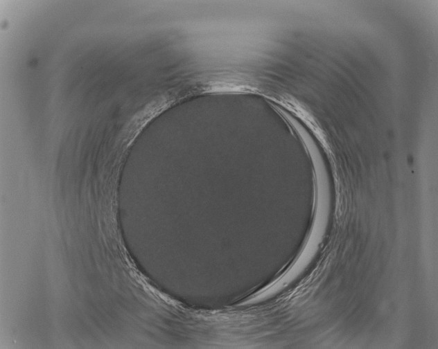 X0000063500385200601231442