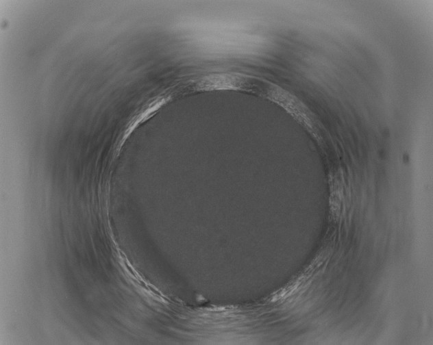 X0000063500386200601231442