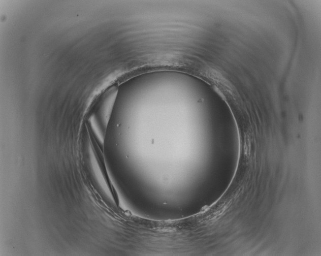 X0000063500388200601231442