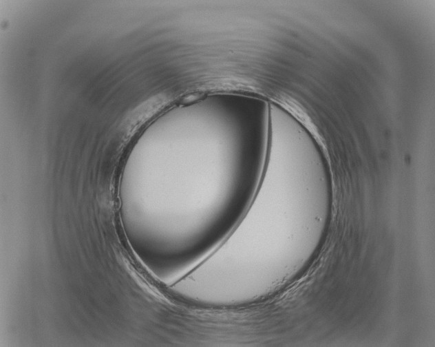 X0000063500389200601231442