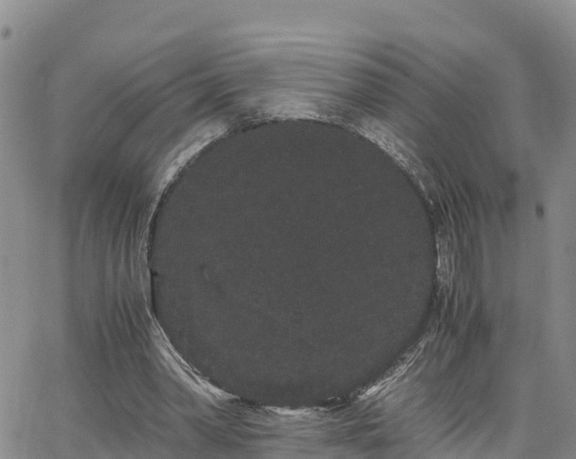 X0000063500390200601231442