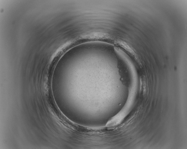 X0000063500392200601231442